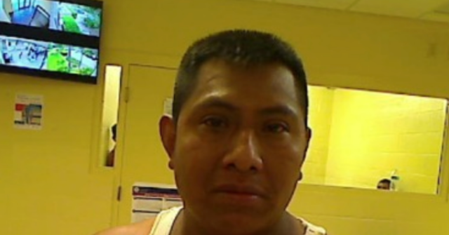 Illegal Alien Gets a Year in Prison for Assaulting ICE Agents in Florida